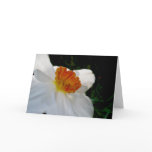 wedding, carolscamera, insect, bee, wasp, hornet,