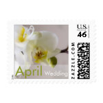 White Orchid • April Wedding Stamp stamp