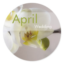 White Orchid • April Wedding Sticker