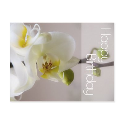 IMAGE(<a href="http://rlv.zcache.com/white_orchid_birthday_postcard-p239478229666125068qibm_400.jpg" rel="nofollow">http://rlv.zcache.com/white_orchid_birthday_postcard-p239478229666125068qibm_400.jpg</a>)