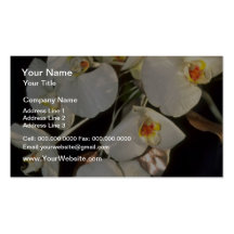 white Orchid bridal bouquet - Phalaenopsis flowers Business Card