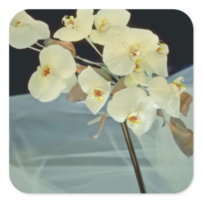 white Orchid bridal bouquet Phalaenopsis flowers Square Stickers by 