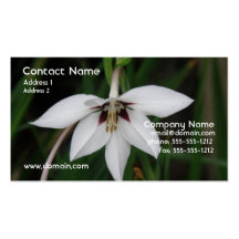 White Orchid Business Card
