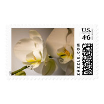 White Orchid Custom Event And Wedding Postage