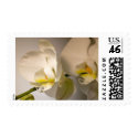 White Orchid Custom Event And Wedding Postage postage
