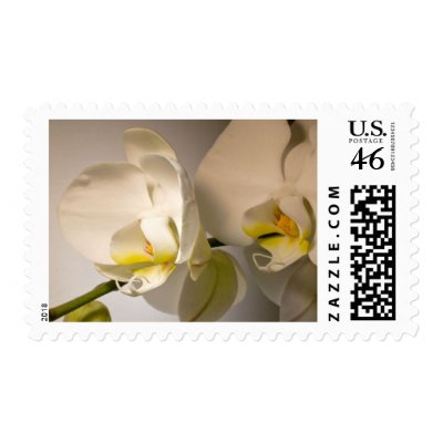 White Orchid Custom Event And Wedding Postage