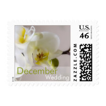 White Orchid • December Wedding Stamp