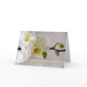 White Orchid Engagement Greeting Card by SabineStGreetings White Orchid Engagement Greeting Card