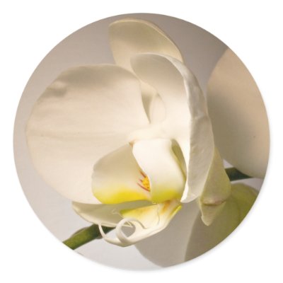 White Orchid Envelope Seal Event Wedding Sticker by TDSwhite