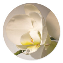 White Orchid Envelope Seal Event Wedding Sticker by TDSwhite White Orchid Envelope Seal Event Wedding Sticker