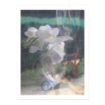 White Orchid Flowers Bouquet Poster Prints by naturalilly White Orchid Flowers Bouquet Poster Prints