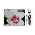 White Orchid I Stamp by mlewallpapers White Orchid I Stamp