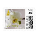White Orchid • January Wedding Stamp