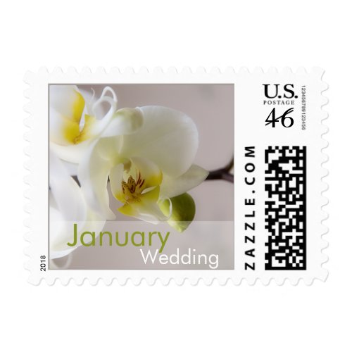 White Orchid • January Wedding Stamp stamp