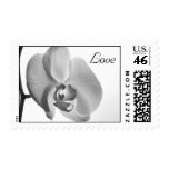 White Orchid Love Wedding Postage Stamps