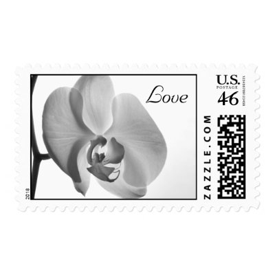 White Orchid Love Wedding Postage Stamps