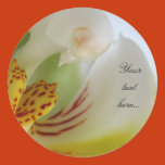 phalaenopsis, orchid, white, wedding seals, white