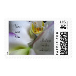 White Orchid Make Your Own Postage Stamps stamp