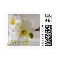 White Orchid • March Wedding Stamp by SabineStGreetings White Orchid • March Wedding Stamp