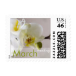 White Orchid • March Wedding Stamp