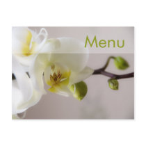 White Orchid • Menu Postcard by SabineStGreetings White Orchid • Menu Postcard