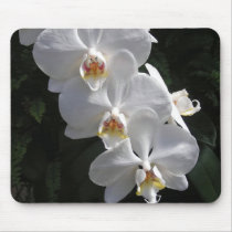 White Orchid Mousepad by mlane53 White Orchid Mousepad