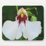 mousepad, orchids, mousepads, orchid, white,