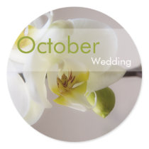 White Orchid • October Wedding Sticker by SabineStGreetings White Orchid • October Wedding Sticker