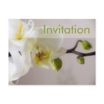 White Orchid • Party Invitation Postcard
