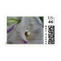 White Orchid Petal Curl Wedding Postage Stamps by naturalilly White Orchid Petal Curl Wedding Postage Stamps