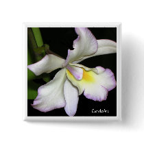 "White Orchid" Pin buttons by CaroleArt "White Orchid" Pin buttons
