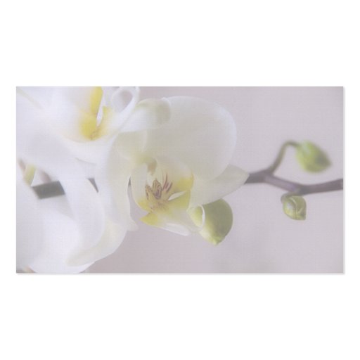 White Orchid â€¢ Place Card Business Card (back side)