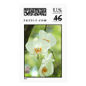 White Orchid postage by hilory10028 White Orchid postage