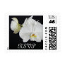 White Orchid RSVP