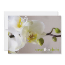 White Orchid • Save the Date Announcement invitations by SabineStGreetings White Orchid • Save the Date Announcement invitations