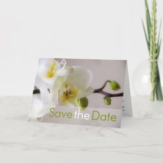 White Orchid Save the Date Card card