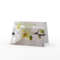 White Orchid Save the Date Card by SabineStGreetings White Orchid Save the Date Card