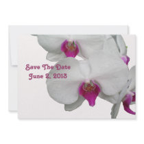 White Orchid Save The Date Card Custom Announcements