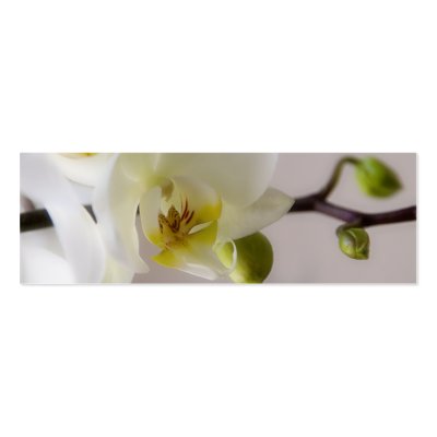 White Orchid Save the Date Mini Card business card