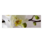 orchids, flowers, photography, wedding, save the