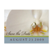 White orchid save the date postcards