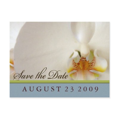White orchid save the date Postcard