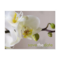 White Orchid • Save the Date Postcard
