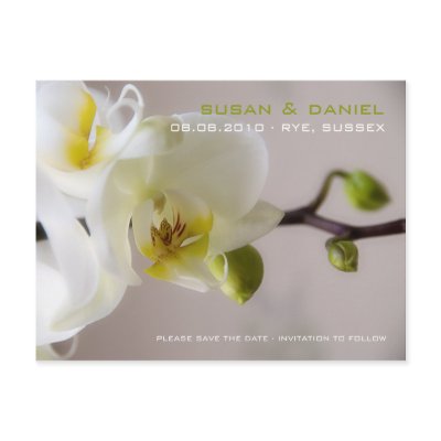 White Orchid Save the Date Postcard