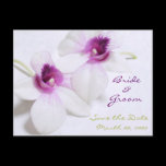 White Orchid Save the Date postcards