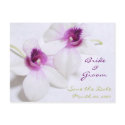 White Orchid Save the Date postcards by PMCustomWeddings White Orchid Save the Date postcards