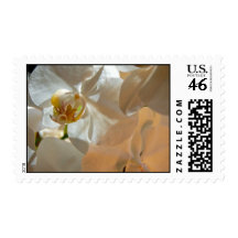 White Orchid Stamp