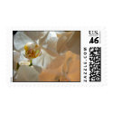 White Orchid Stamp