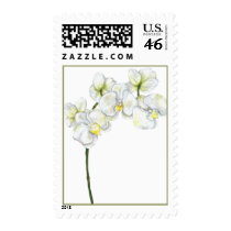 White Orchid Stamp stamps