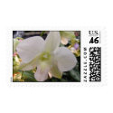 White Orchid Stamp by SweetRascal White Orchid Stamp